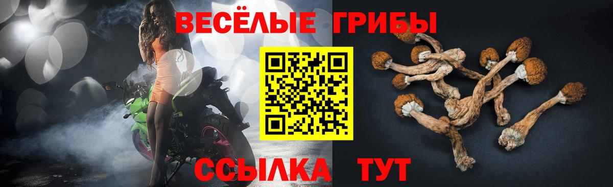 Находка  Галлюциногенные грибы MAGIC MUSHROOMS  Галлюциногенные грибы MAGIC MUSHROOMS  Вход с VPN 